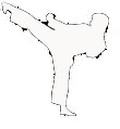 Taekwondo Haiti Program